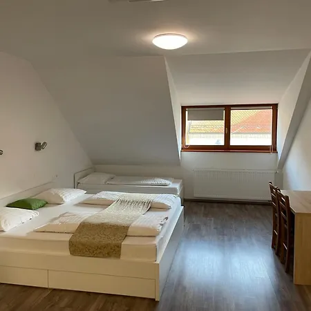 Stari Mayr 4* Kranj