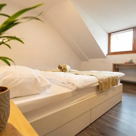 Stari Mayr Casa de hóspedes Kranj