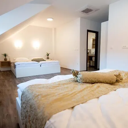 ゲストハウス Stari Mayr