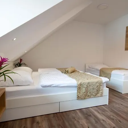 Casa de hóspedes Stari Mayr Kranj