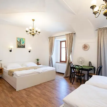 Stari Mayr 4* Kranj