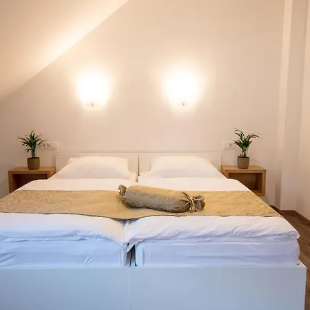 Stari Mayr Casa de hóspedes Kranj