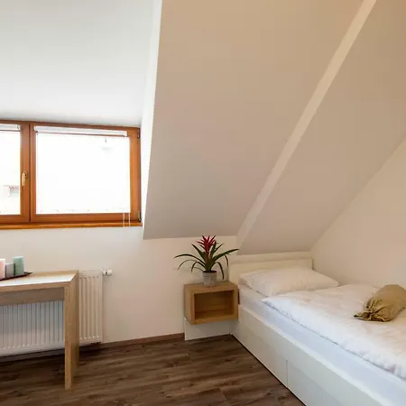 Stari Mayr 4* Kranj