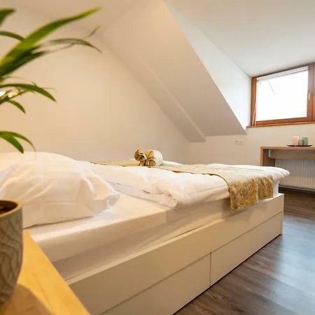 Stari Mayr Maison d'hôtes Kranj