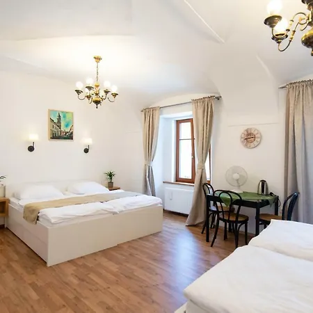 Stari Mayr 4* Kranj