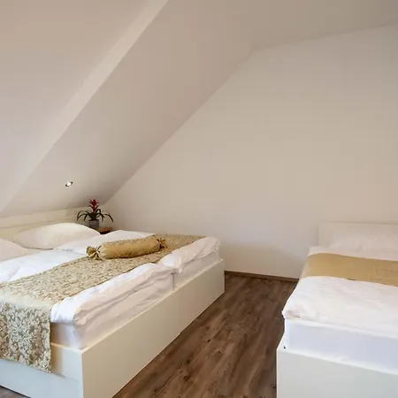 Stari Mayr 4* Kranj