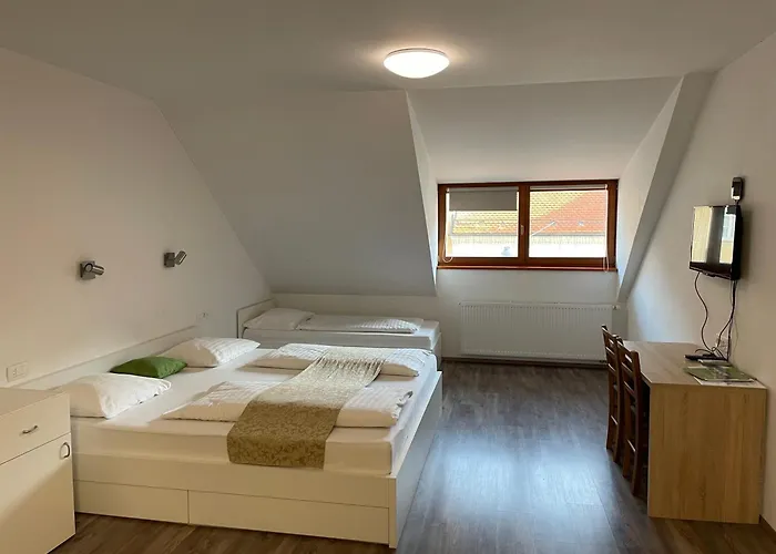 Stari Mayr 4* كراني