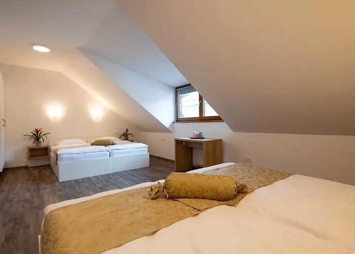 Гостевой дом Stari Mayr Крань