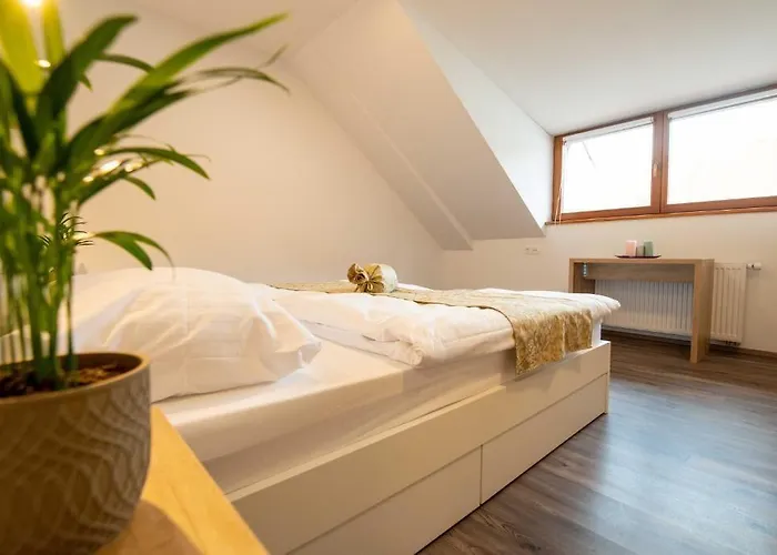 Stari Mayr Гостевой дом Крань