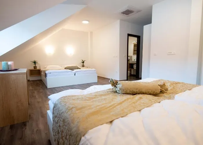 بيت ضيافة Stari Mayr