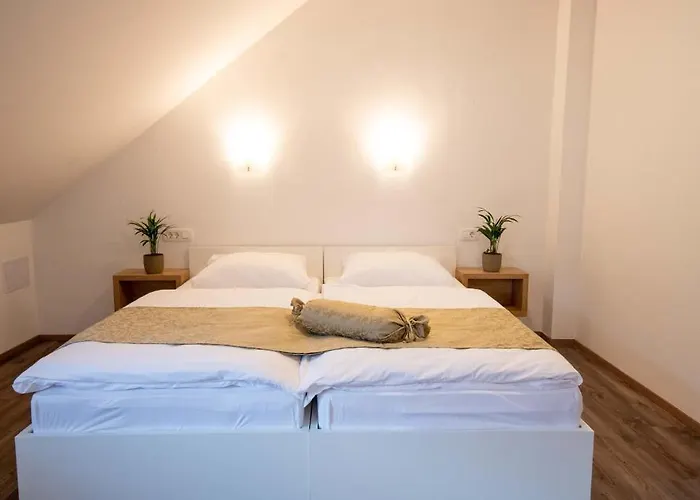 Stari Mayr Гостевой дом Крань