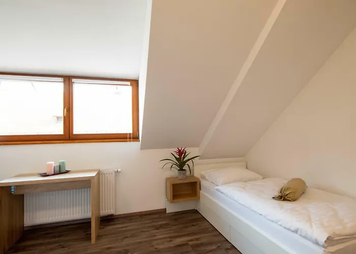 Stari Mayr 4* كراني