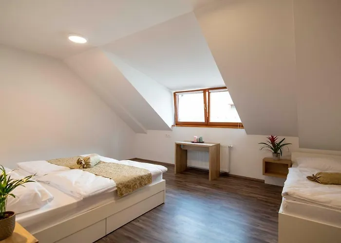 Гостевой дом Stari Mayr Крань