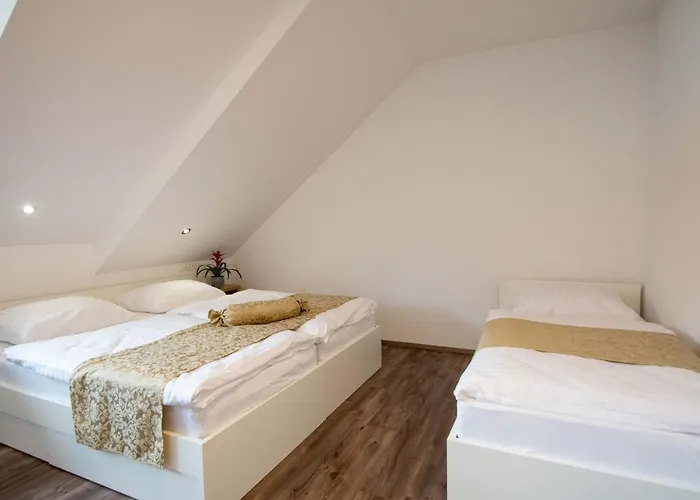 Stari Mayr 4* Крань